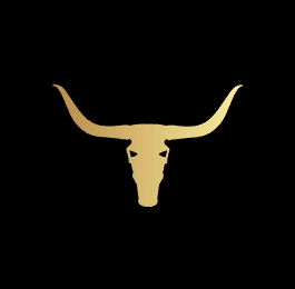 737Locksmith company logo